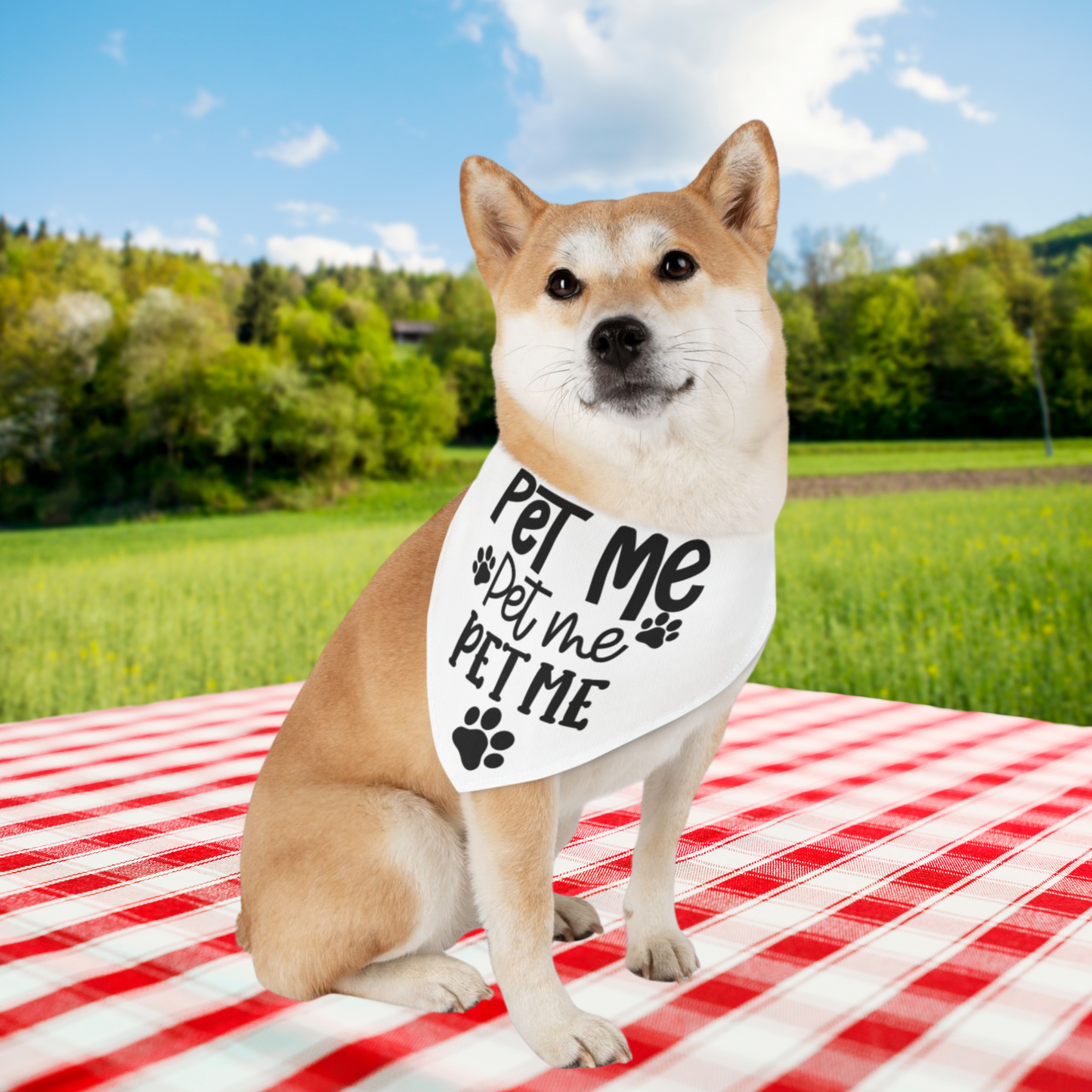 Cute 'Pet Me' Dog Bandana